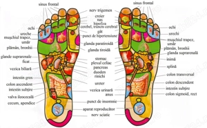 Masaj reflexoterapie,masaj de relaxare , terapeutic