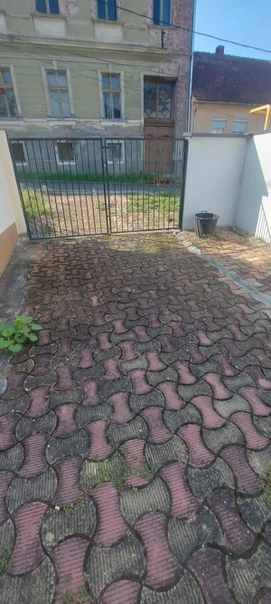 Pensiune functionala Staiunea Buzias la 30km de Timisoara - imagine 8