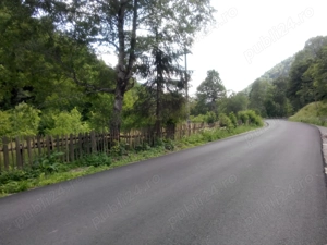 Teren la munte - imagine 2