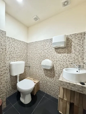 Proprietate situata in Dorobanti - Putul lui Zamfir - imagine 9