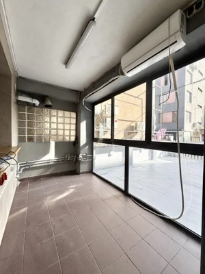 Proprietate situata in Dorobanti - Putul lui Zamfir - imagine 12