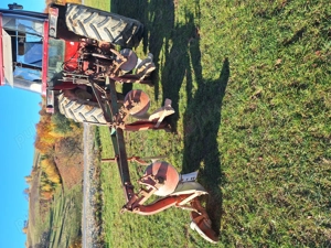 De vânzare plug ăn stare foarte bună  - imagine 2