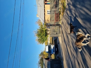 Vind casa scortaru nou. În centru.2000.mp  - imagine 4