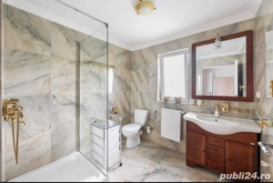 CAMIN DE BATRANI, localitatea Giulvaz - imagine 10