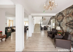 CAMIN DE BATRANI, localitatea Giulvaz - imagine 19