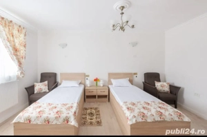 CAMIN DE BATRANI, localitatea Giulvaz - imagine 9