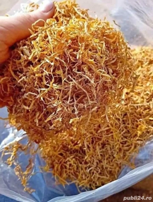 Tutun tocat si firicel 90 lei kg 