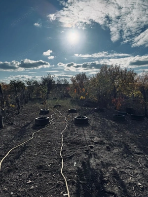 AV661 Casa individuala de vanzare, pe parter, Pischia, zona linistita - imagine 20