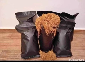 Tutun tocat 90 lei kg galben auriu 