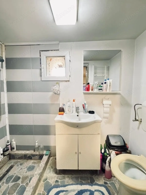 AV661 Casa individuala de vanzare, pe parter, Pischia, zona linistita - imagine 19