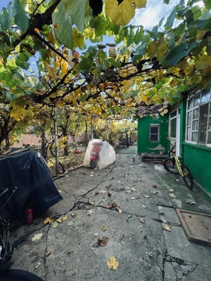 AV661 Casa individuala de vanzare, pe parter, Pischia, zona linistita - imagine 4