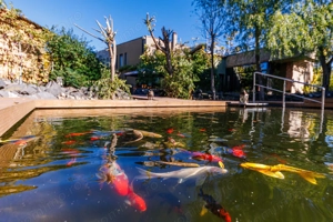 De vânzare – Proprietate Exclusivistă - Comision 0% - imagine 11