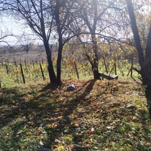 900 mp teren intravilan, comuna Schitu Duca - imagine 2