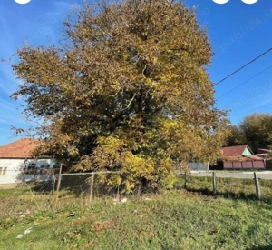 Casă cu teren 2647 mp   DN 67, Bunești, jud. Vâlcea - imagine 2