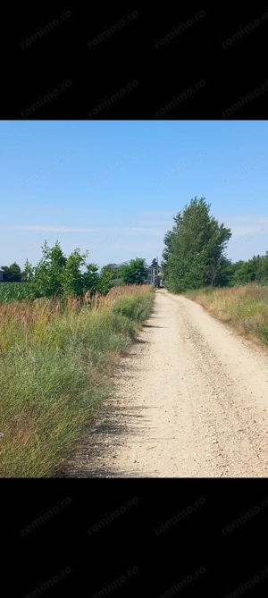 Vând teren Dâmbovița, DN 7, Găești.   Vând pădure Dâmbovița (Comuna Gura Foii) - imagine 8
