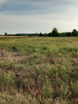 Vând teren Dâmbovița, DN 7, Găești.   Vând pădure Dâmbovița (Comuna Gura Foii) - imagine 4