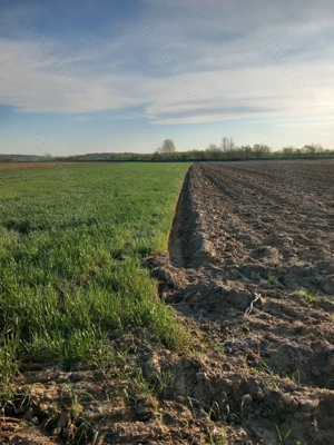 Vând teren Dâmbovița, DN 7, Găești.   Vând pădure Dâmbovița (Comuna Gura Foii) - imagine 9