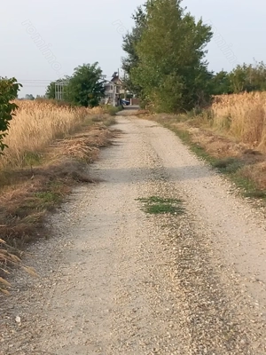 Vând teren Dâmbovița, DN 7, Găești.   Vând pădure Dâmbovița (Comuna Gura Foii) - imagine 7