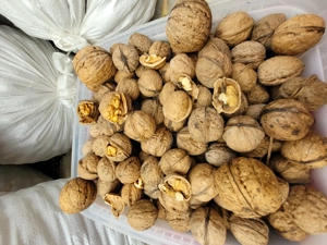 Vand nuci in coaja 2025