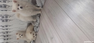 De vânzare - imagine 3 De vânzare - imagine 3