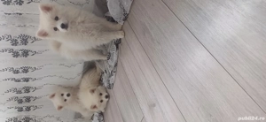 De vânzare - imagine 4 De vânzare - imagine 4