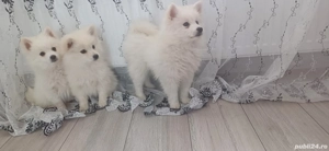 De vânzare - imagine 5 De vânzare - imagine 5