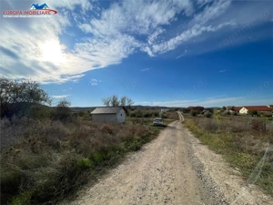 Teren intravilan in Mineri - imagine 9