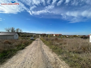 Teren intravilan in Mineri - imagine 11