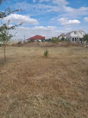 Teren de vanzare in Domnesti - imagine 2