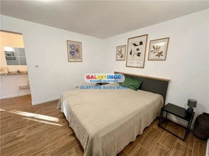 Inchiriere garsoniera IN VILA Piata Victoriei Titulescu CURTE PROPRIE - imagine 7