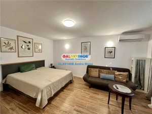 Inchiriere garsoniera IN VILA Piata Victoriei Titulescu CURTE PROPRIE