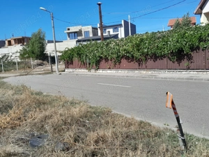 Teren  Banovita - imagine 2 Teren  Banovita - imagine 2