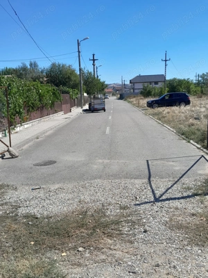 Teren  Banovita - imagine 4 Teren  Banovita - imagine 4