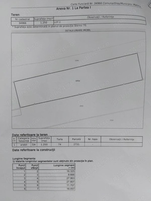 Teren intravilan Mahmudia - imagine 4