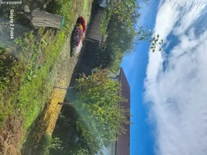 CASA DE vânzare în Slobozia