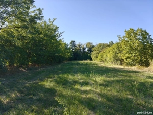 Casă în curs de renovare+ teren generos  - imagine 5