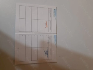 Vând căței de Asia Centrală  - imagine 4