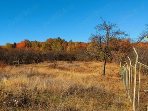 Teren intravilan 500 mp Câmpina privelisti panoramice, între pădure și lac - imagine 4
