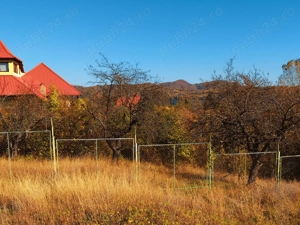 Teren intravilan 500 mp Câmpina privelisti panoramice, între pădure și lac - imagine 2