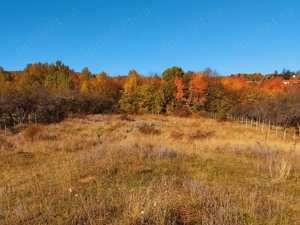 Teren intravilan 500 mp Câmpina privelisti panoramice, între pădure și lac - imagine 7