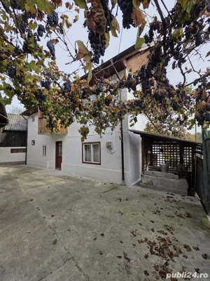 De vanzare ! 2 Case + Livada - imagine 5