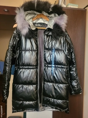 Geaga lucioasa de dama