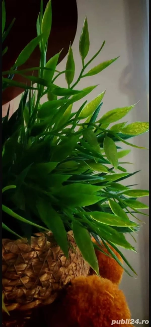 Apartament 2 camere, 41 Mp,Parter, Aleea Călinului, Oradea.  - imagine 18