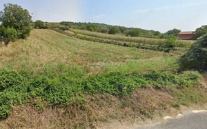 Teren Intravilan langa Dunare!  Disponibil la 15 Euro mp - imagine 4