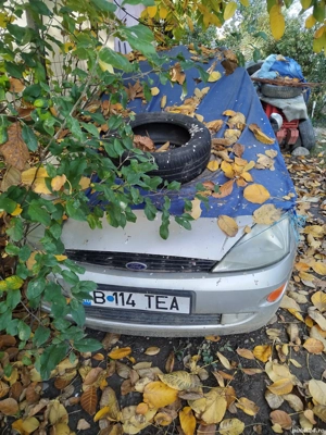 Ford Focus 2001 1,4 benzina