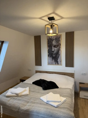 Cabană cu ciubăr jacuzzi de închiriat   WildCabin Panoramic, Mărișel (Apuseni) - imagine 4