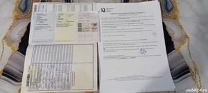 dacia mcv 1.6 bez 7 locuri - imagine 8