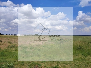 Teren intravilan Ciocanesti Cretu - 9282 mp divizat in 15 loturi