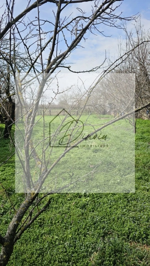 Teren intravilan 2619 mp cu 2 case  - Ciocanesti Jud. Dambovita - imagine 4