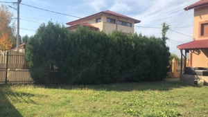 Casa de vanzare 4 dormitoare, living, 2 bai, bucatarie etc  Chiajna  - imagine 18